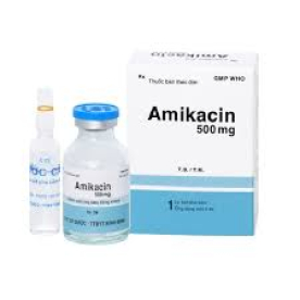 Amikacin 500