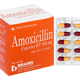 amoxilin 500-brawm h100vien