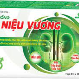 An niệu vương h30vien