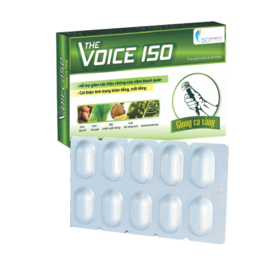 The Voice 150 hộp 30 viên